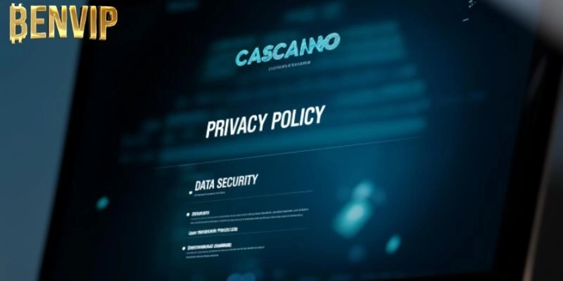 Nội dung về điều khoản sử dụng tại Benvip